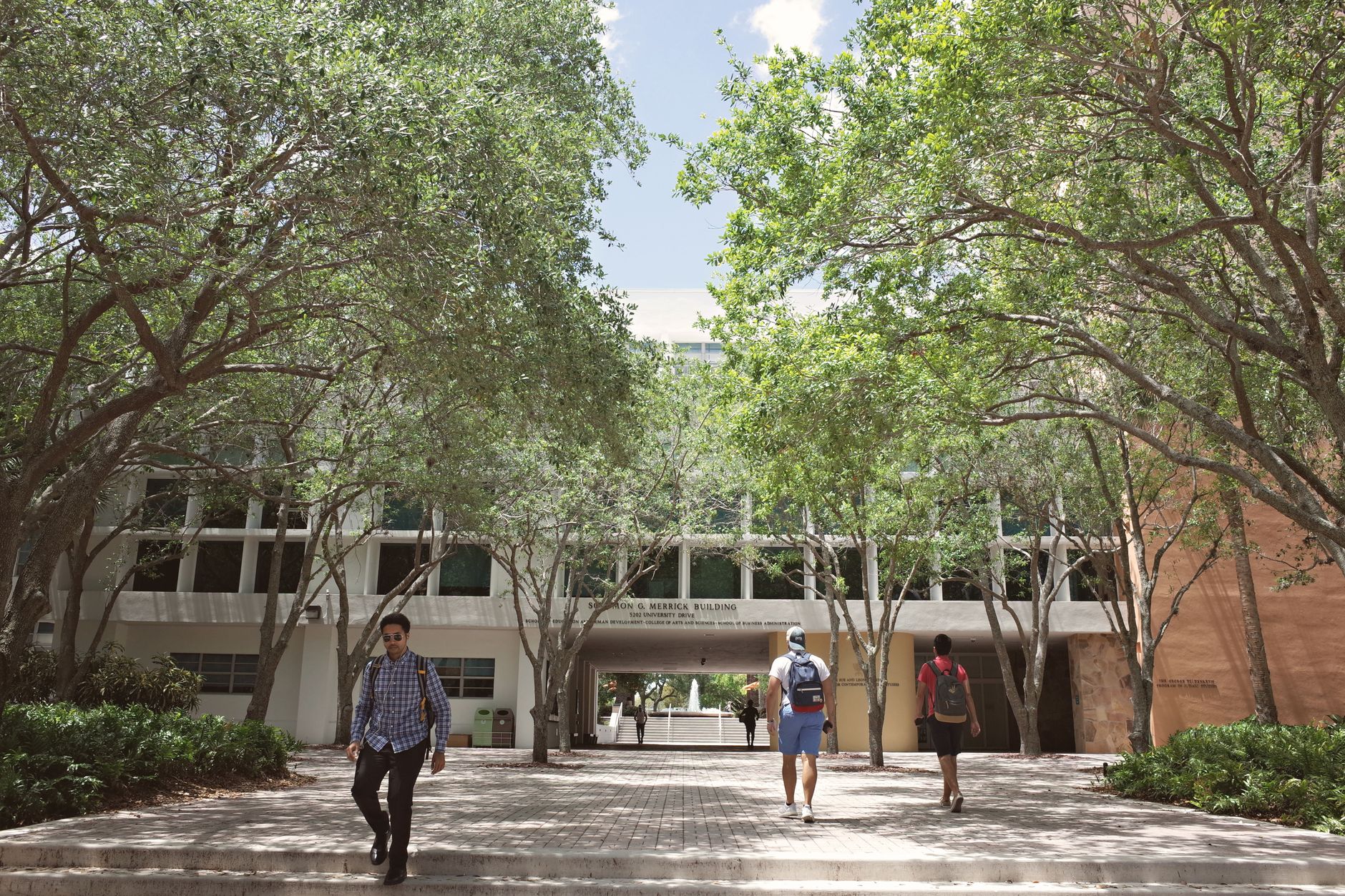 College Freshman Mental Health Tips: A Survival Guide