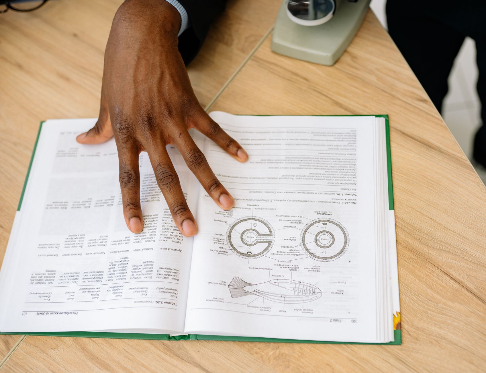 photographic | close up of hands typing a biology paper on a clean desk with diagrams
